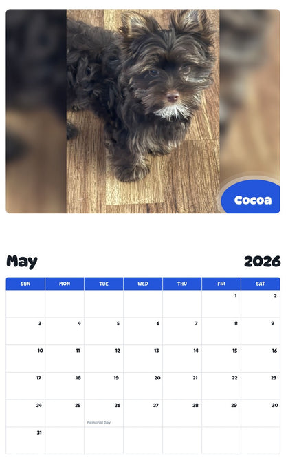2026 - 2027 Cocoa - Pawidols Pet Calendar