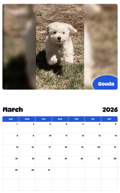 November 2025 - October 2026 Gouda - Pawidols Pet Calendar