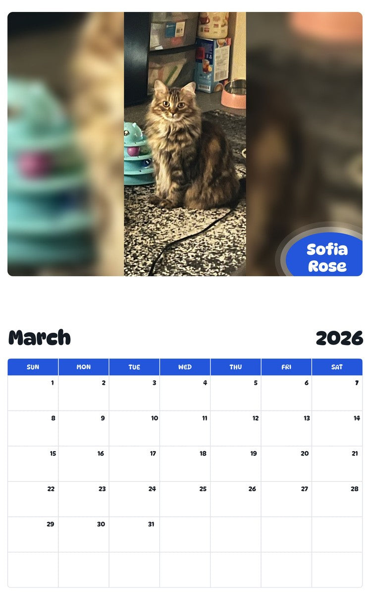 November 2025 - October 2026 Sofia Rose - Pawidols Pet Calendar