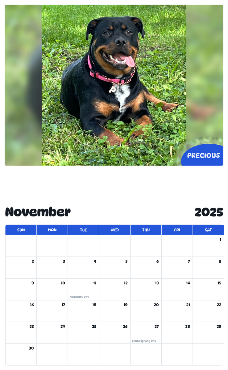July 2025 - June 2026 Precious - Pawidols Pet Calendar