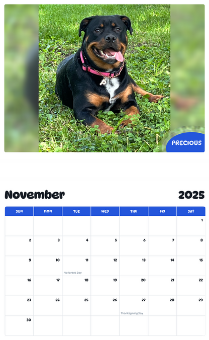 July 2025 - June 2026 Precious - Pawidols Pet Calendar
