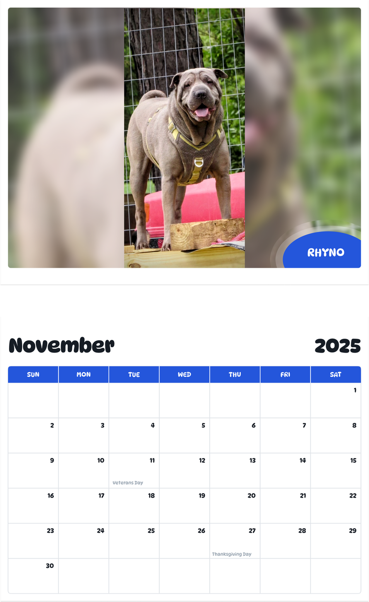 July 2025 - June 2026 Rhyno - Pawidols Pet Calendar
