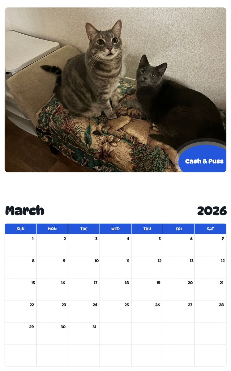 November 2025 - October 2026 Cash & Puss - Pawidols Pet Calendar