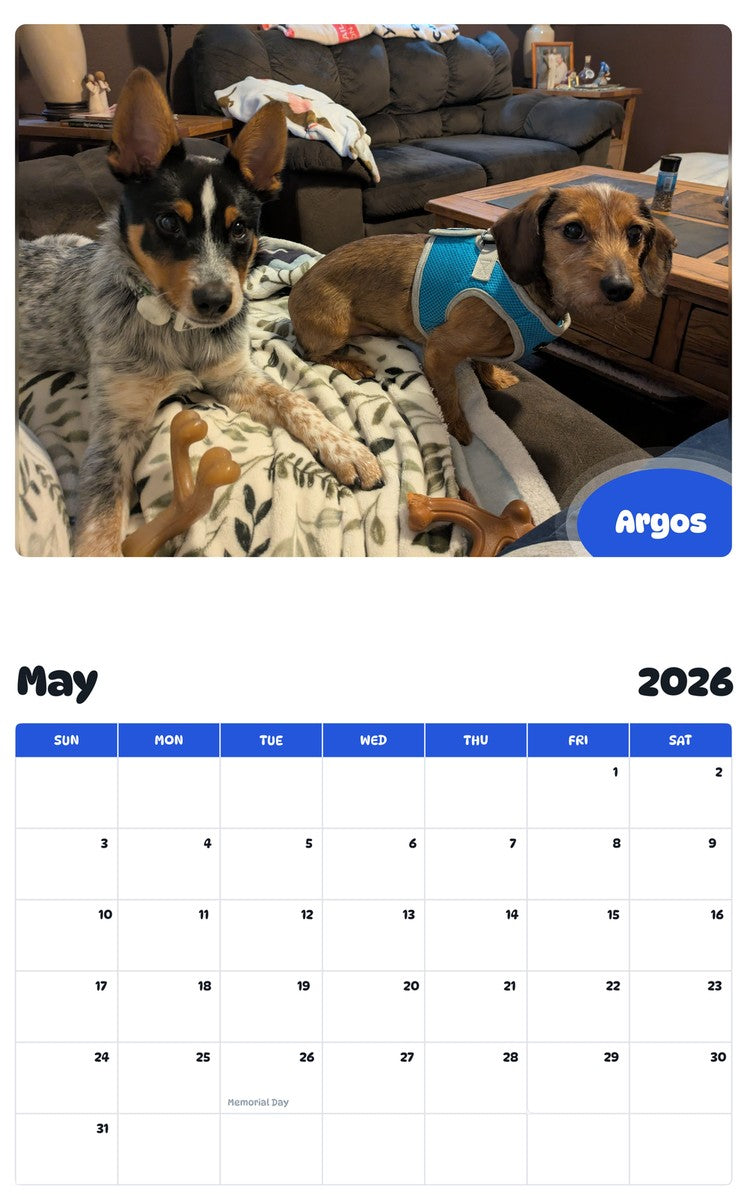 2026 - 2027 Argos - Pawidols Pet Calendar