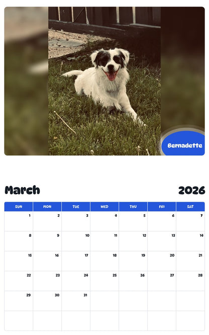 November 2025 - October 2026 Bernadette - Pawidols Pet Calendar