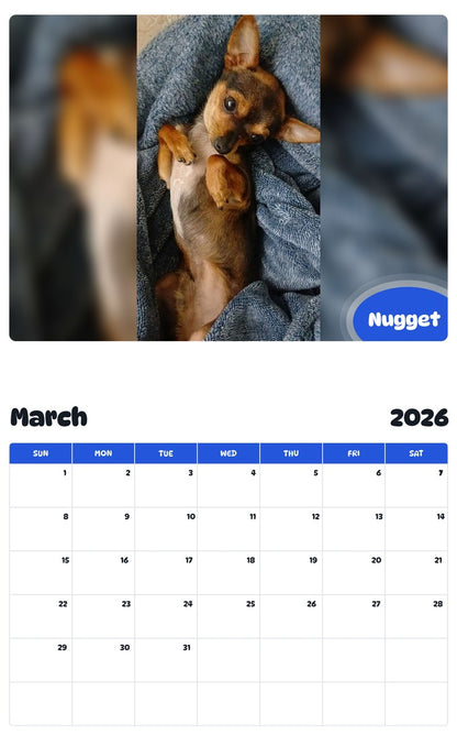 November 2025 - October 2026 Nugget - Pawidols Pet Calendar