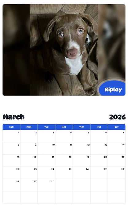 November 2025 - October 2026 Ripley - Pawidols Pet Calendar