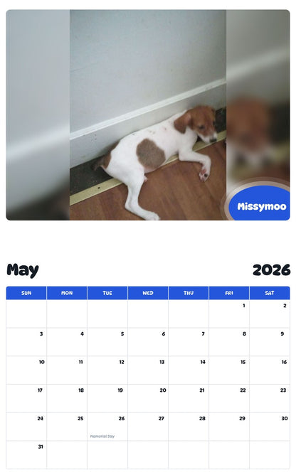 2026 - 2027 Missymoo - Pawidols Pet Calendar