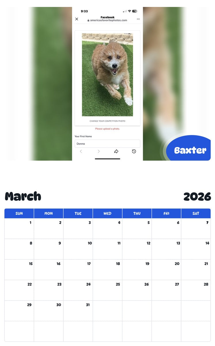 November 2025 - October 2026 Baxter - Pawidols Pet Calendar