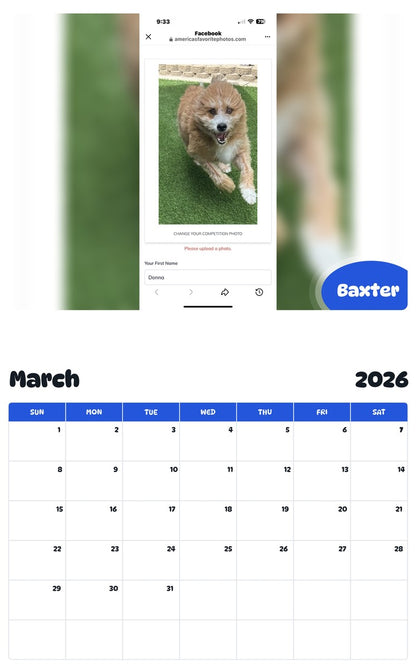 November 2025 - October 2026 Baxter - Pawidols Pet Calendar