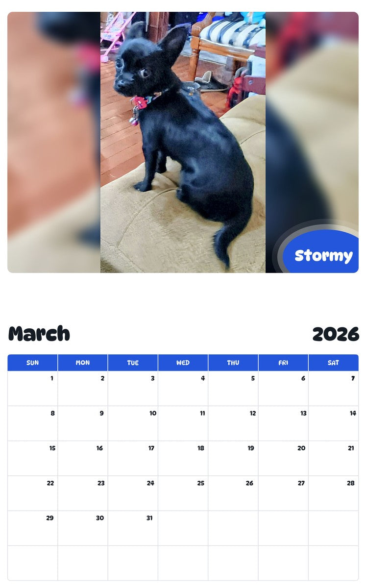 November 2025 - October 2026 Stormy - Pawidols Pet Calendar