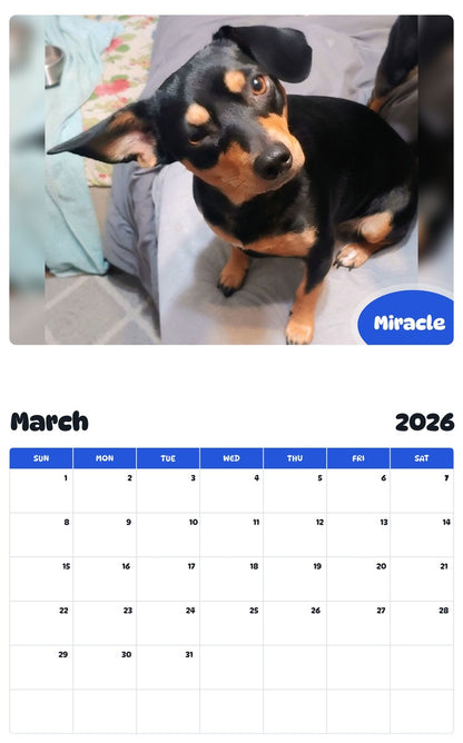 November 2025 - October 2026 Miracle - Pawidols Pet Calendar