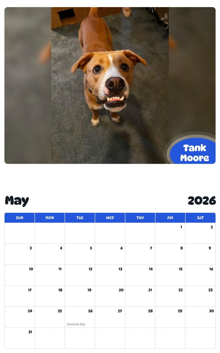 2026 - 2027 Tank Moore - Pawidols Pet Calendar