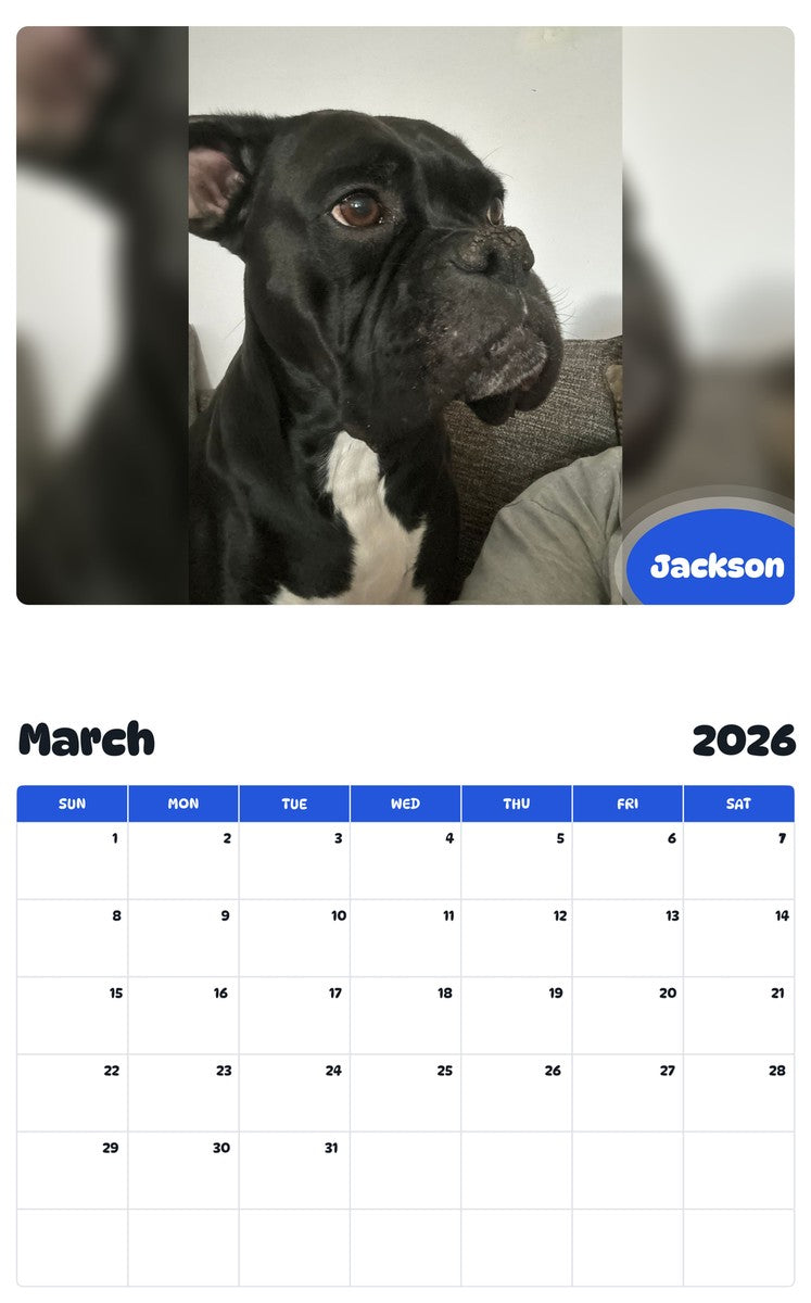 November 2025 - October 2026 Jackson - Pawidols Pet Calendar