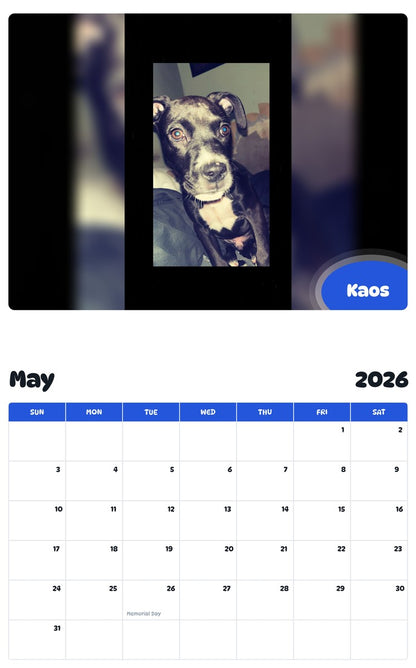 2026 - 2027 Kaos - Pawidols Pet Calendar