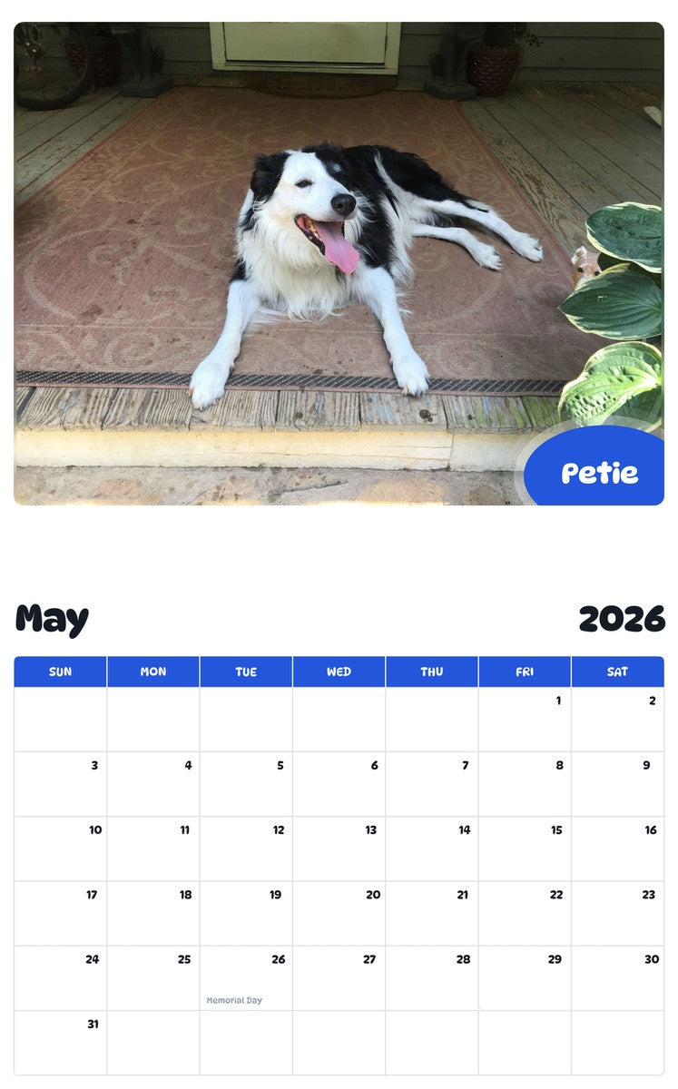 2026 - 2027 Petie - Pawidols Pet Calendar