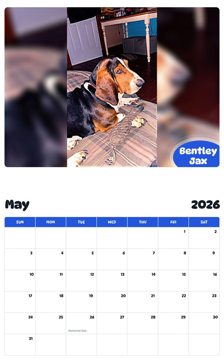 2026 - 2027 Bentley Jax - Pawidols Pet Calendar