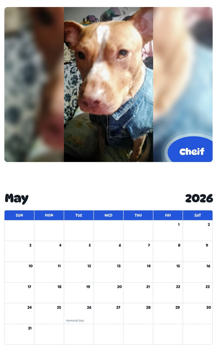 2026 - 2027 Cheif - Pawidols Pet Calendar