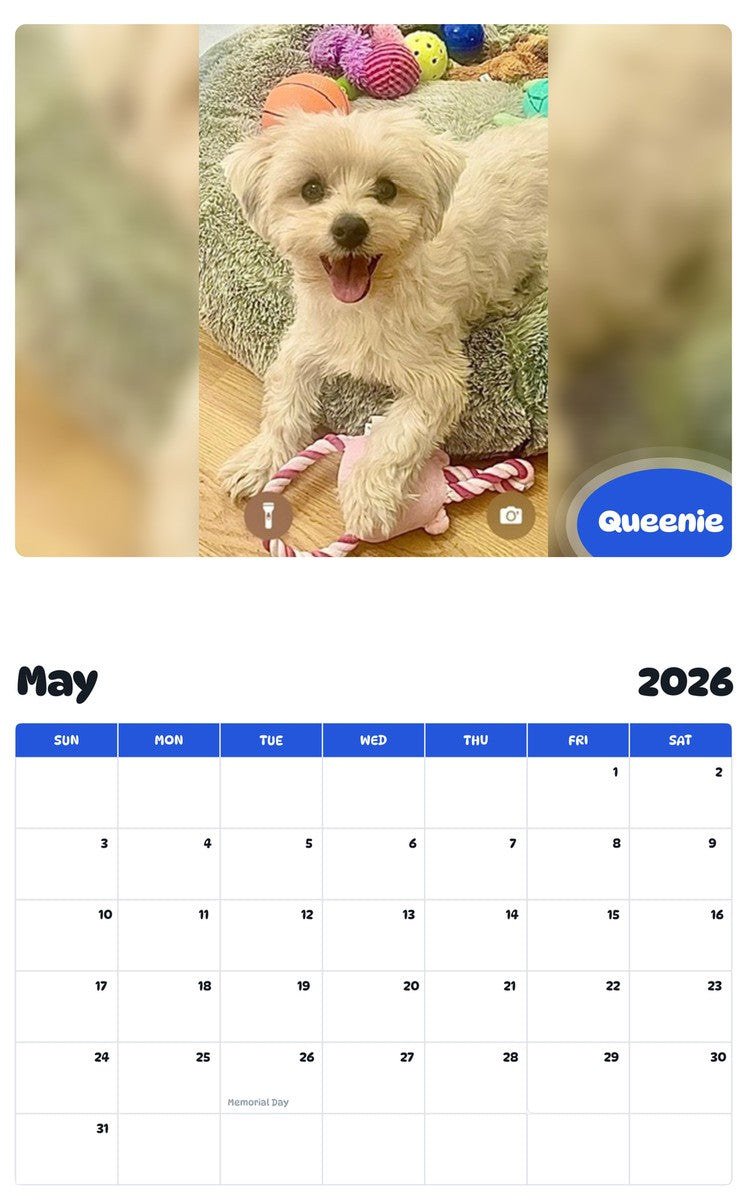 2026 - 2027 Queenie - Pawidols Pet Calendar