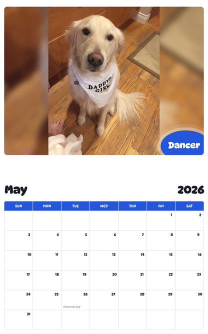2026 - 2027 Dancer - Pawidols Pet Calendar