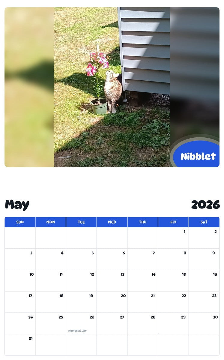 2026 - 2027 Nibblet - Pawidols Pet Calendar
