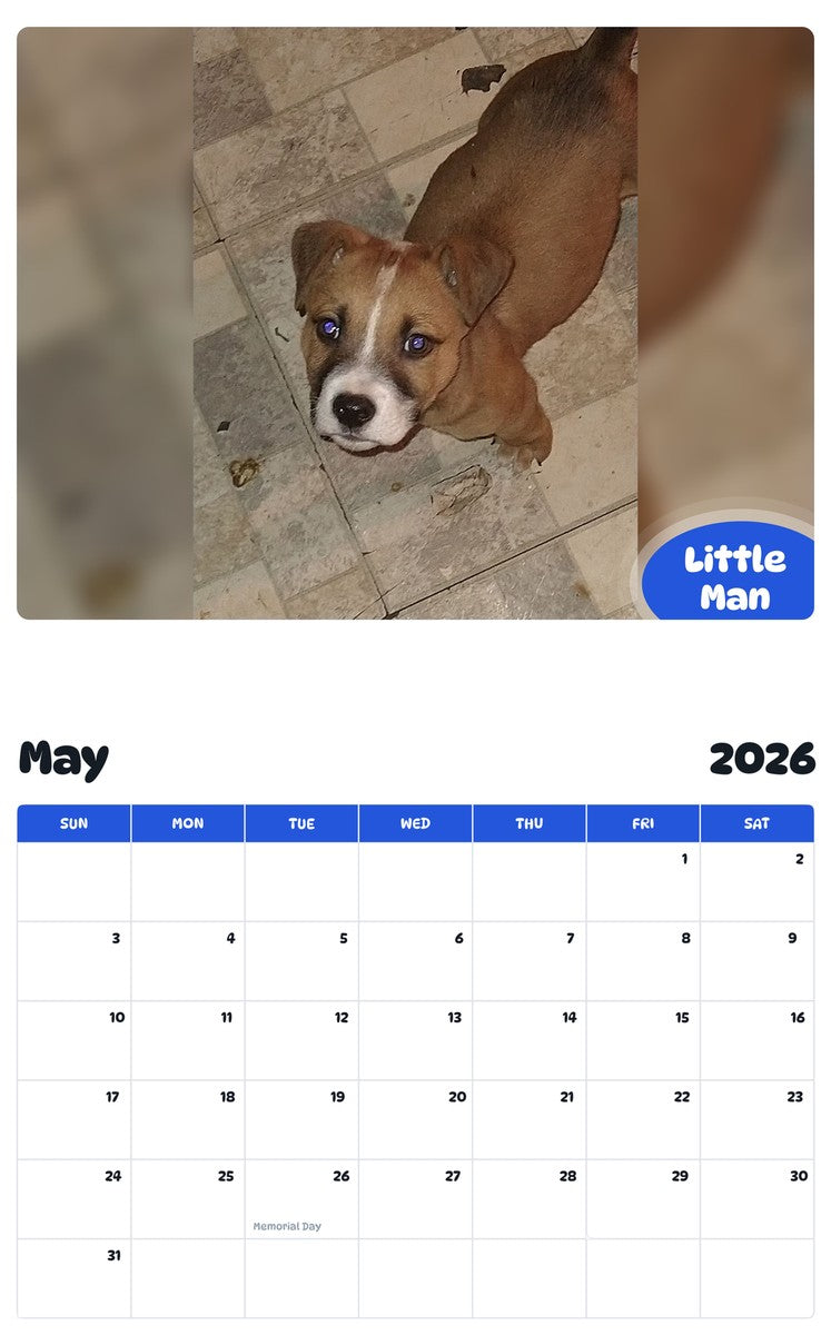 2026 - 2027 Little Man - Pawidols Pet Calendar