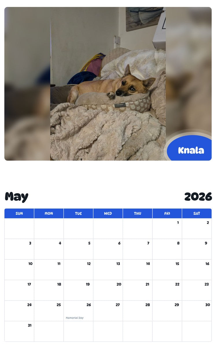 2026 - 2027 Knala - Pawidols Pet Calendar