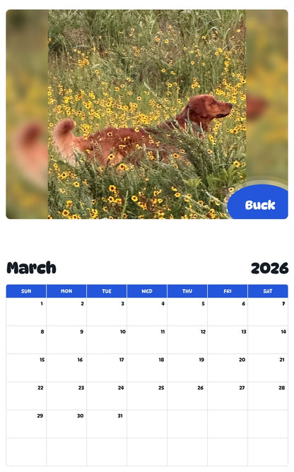 November 2025 - October 2026 Buck - Pawidols Pet Calendar