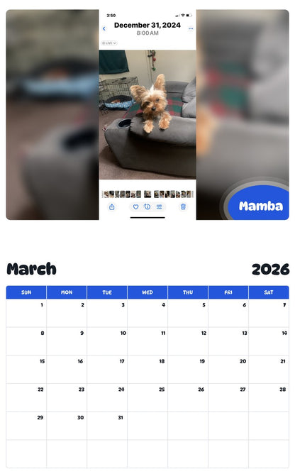 November 2025 - October 2026 Mamba - Pawidols Pet Calendar