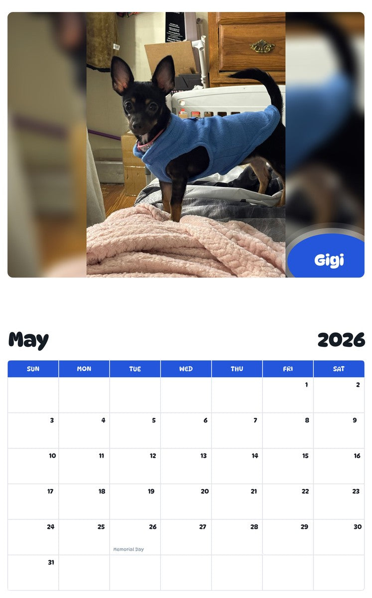 2026 - 2027 Gigi - Pawidols Pet Calendar