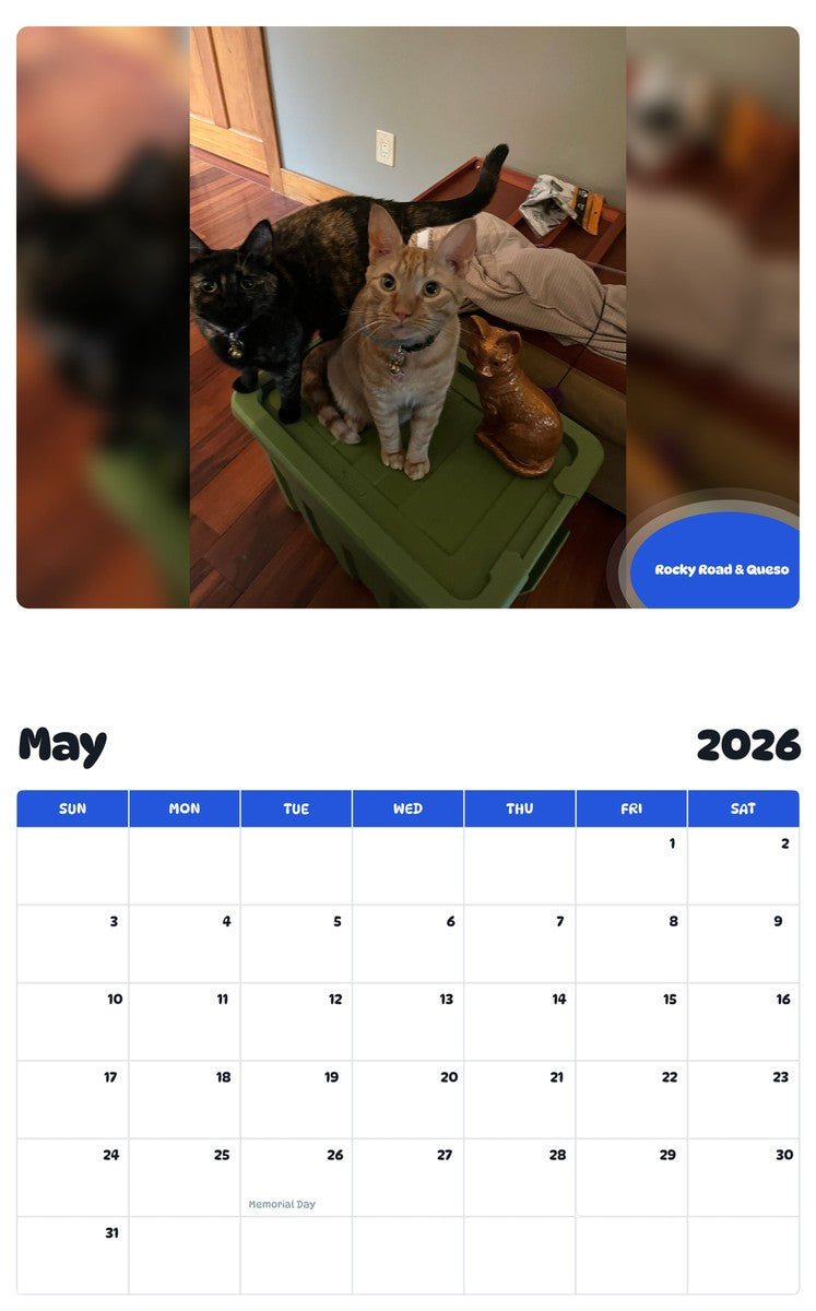 2026 - 2027 Rocky Road & Queso - Pawidols Pet Calendar