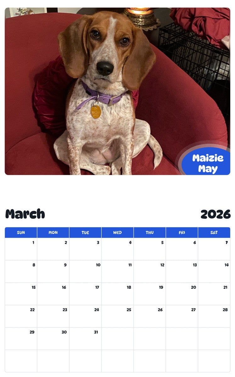 November 2025 - October 2026 Maizie May - Pawidols Pet Calendar