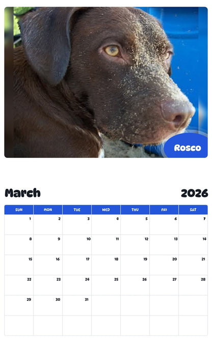 November 2025 - October 2026 Rosco - Pawidols Pet Calendar