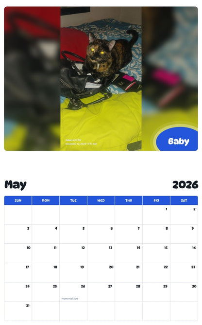 2026 - 2027 Baby - Pawidols Pet Calendar
