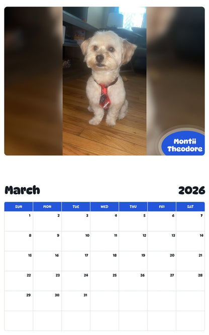 November 2025 - October 2026 Montii Theodore - Pawidols Pet Calendar