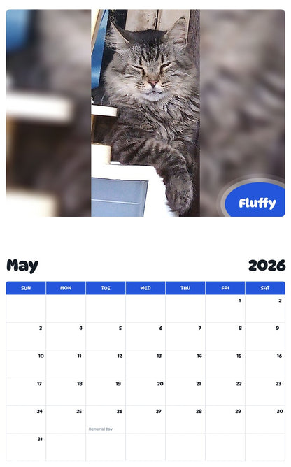 2026 - 2027 Fluffy - Pawidols Pet Calendar