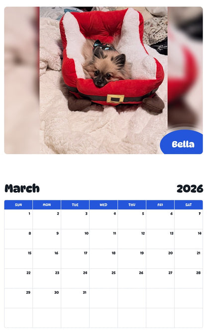 November 2025 - October 2026 Bella - Pawidols Pet Calendar