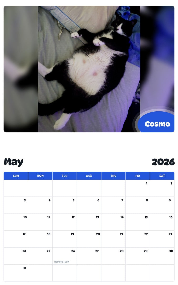 2026 - 2027 Cosmo - Pawidols Pet Calendar