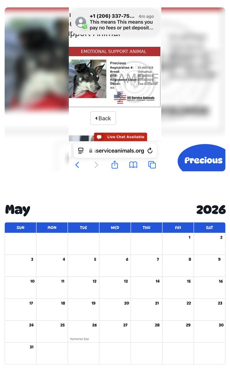 2026 - 2027 Precious - Pawidols Pet Calendar