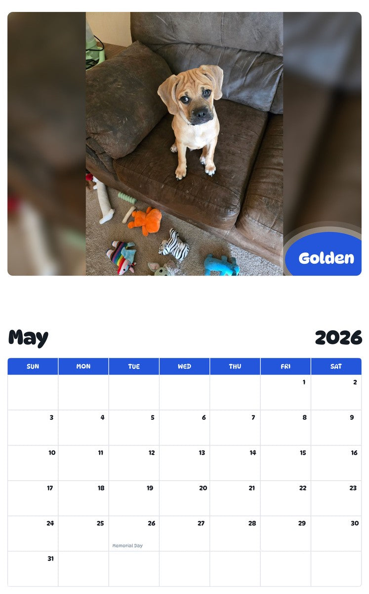 2026 - 2027 Golden - Pawidols Pet Calendar