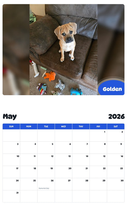 2026 - 2027 Golden - Pawidols Pet Calendar