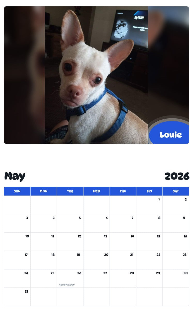 2026 - 2027 Louie - Pawidols Pet Calendar