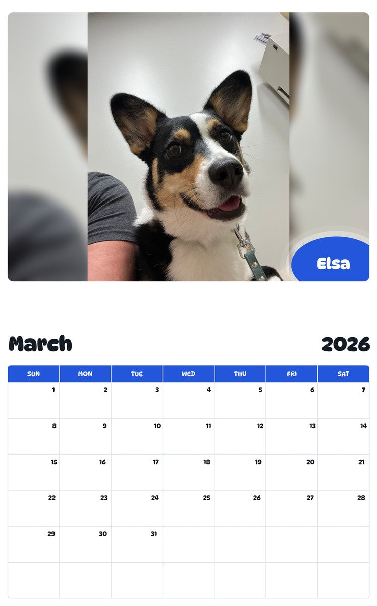 November 2025 - October 2026 Elsa - Pawidols Pet Calendar