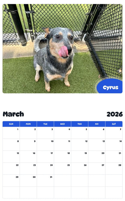 November 2025 - October 2026 Cyrus - Pawidols Pet Calendar