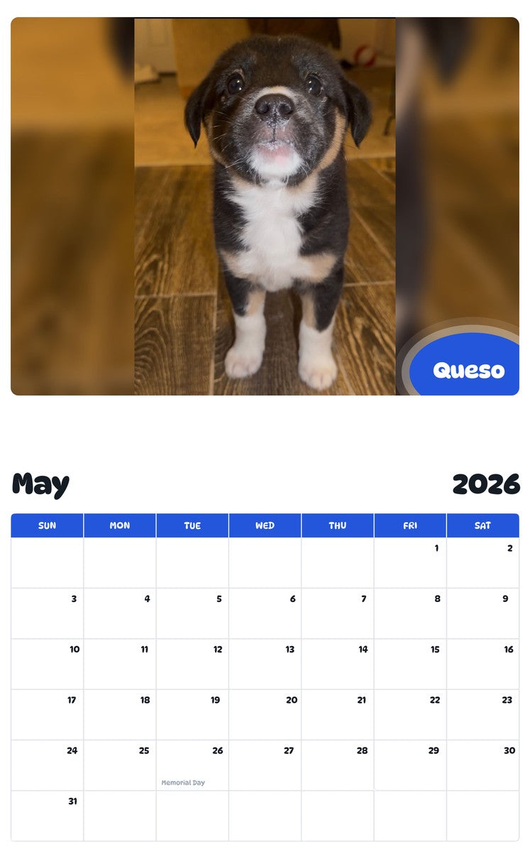 2026 - 2027 Queso - Pawidols Pet Calendar