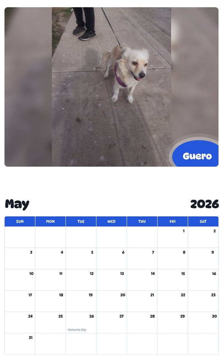 2026 - 2027 Guero - Pawidols Pet Calendar