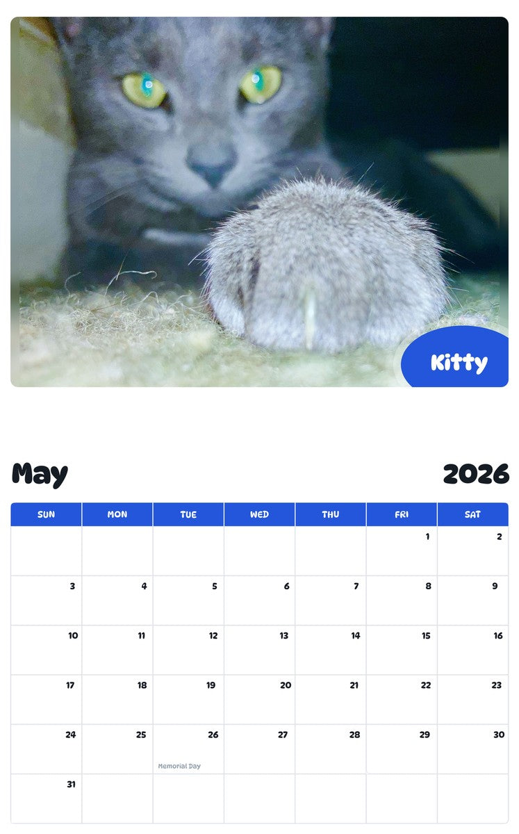 2026 - 2027 Kitty - Pawidols Pet Calendar