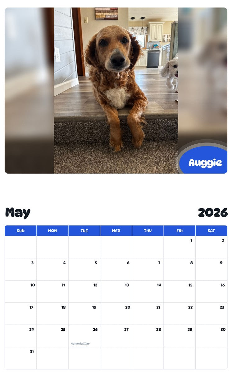 2026 - 2027 Auggie - Pawidols Pet Calendar