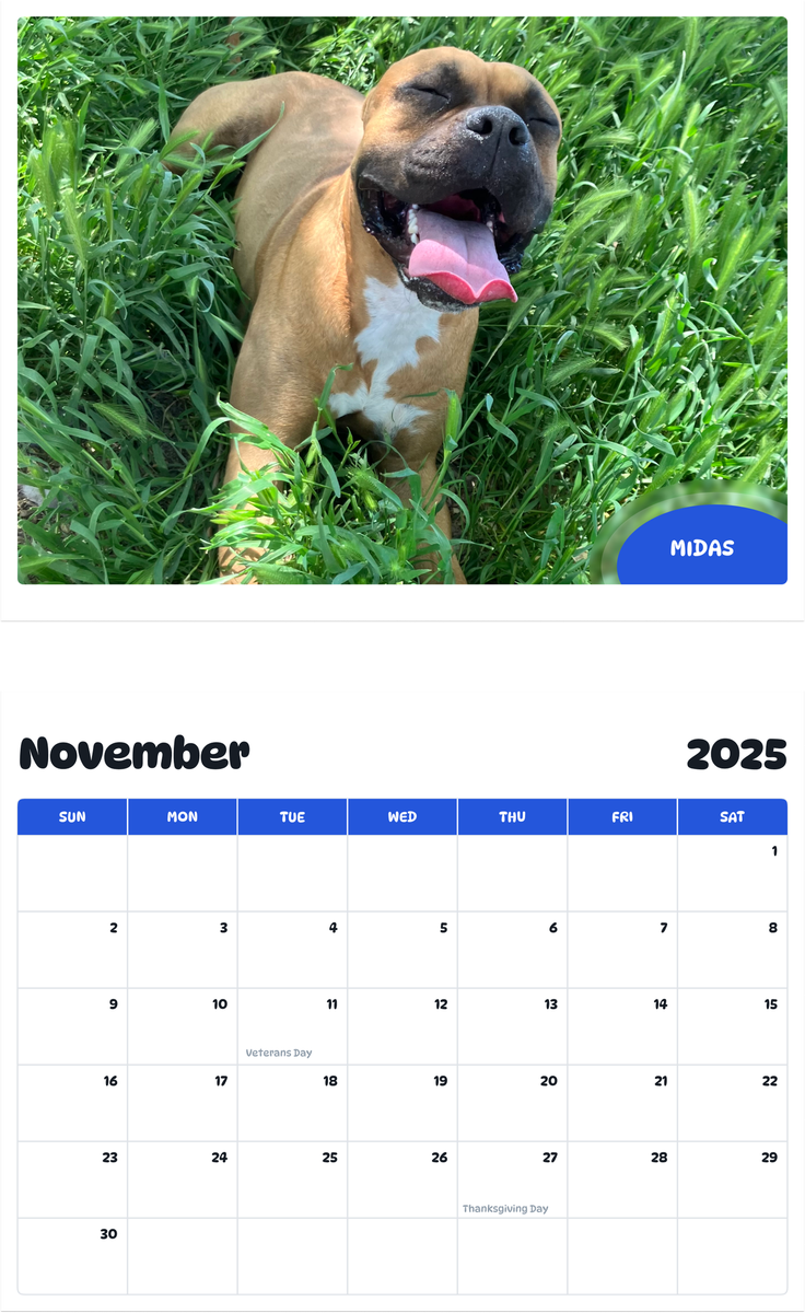 July 2025 - June 2026 Midas - Pawidols Pet Calendar