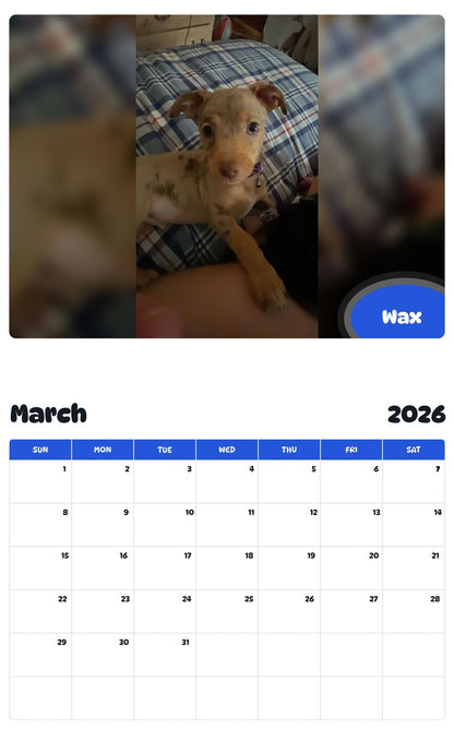 November 2025 - October 2026 Wax - Pawidols Pet Calendar